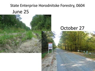 State Enterprise Horodnitske Forestry, 0604
June 25
October 27
 
