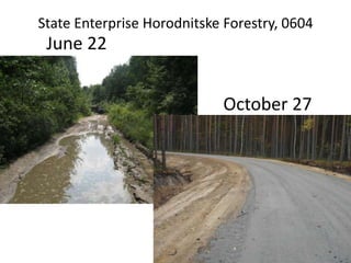 State Enterprise Horodnitske Forestry, 0604
June 22
October 27
 
