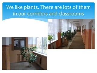 We like plants. There are lots of them
in our corridors and classrooms
 