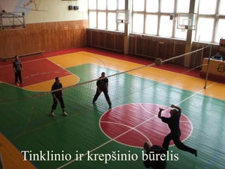 Tinklinio ir krepšinio būrelis
 