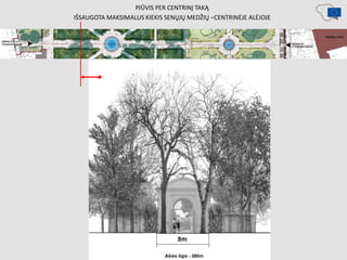PJŪVIS PER CENTRINĮ TAKĄ
IŠSAUGOTA MAKSIMALUS KIEKIS SENŲJŲ MEDŽIŲ –CENTRINĖJE ALĖJOJE
 