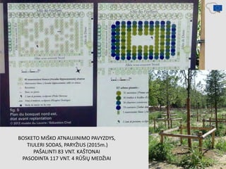 BOSKETO MIŠKO ATNAUJINIMO PAVYZDYS,
TIULERI SODAS, PARYŽIUS (2015m.)
PAŠALINTI 83 VNT. KAŠTONAI
PASODINTA 117 VNT. 4 RŪŠIŲ MEDŽIAI
 