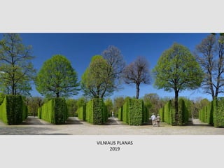VILNIAUS PLANAS
2019
 