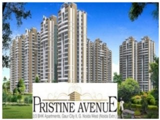 Pristine Avenue Flats for Rent - 9911154422 , Noida Extension