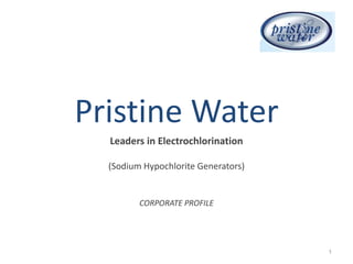 Pristine Water
  Leaders in Electrochlorination

  (Sodium Hypochlorite Generators)


         CORPORATE PROFILE




                                     1
 