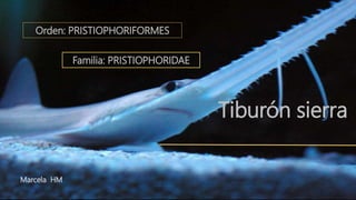 Marcela HM
Orden: PRISTIOPHORIFORMES
Familia: PRISTIOPHORIDAE
Tiburón sierra
 