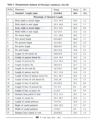 Pristolepis malabarica, ..redesciption