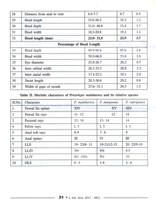 Pristolepis malabarica, ..redesciption