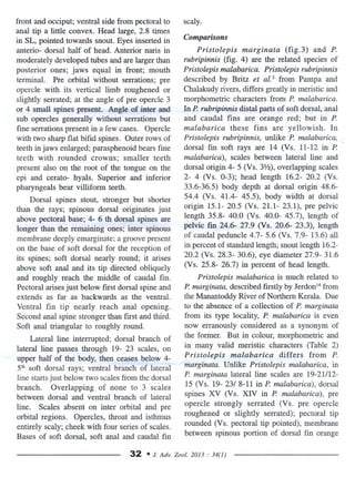 Pristolepis malabarica, ..redesciption