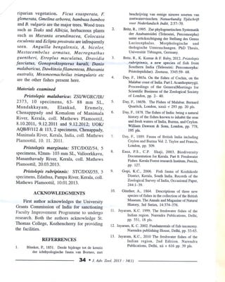 Pristolepis malabarica, ..redesciption