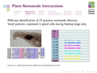 Plant-Nematode Interactions
Introduction Why Genomics? 2003-Now Implications Where Next? Conclusions
RNA-seq identiﬁcation of 27 putative nematode eﬀectors:
Small proteins, expressed in gland cells during feeding stage only.
Cotton et al. (2014) Genome Biol. 15:R43 doi:10.1186/gb-2014-15-3-r43
 