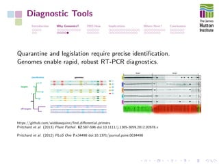 Diagnostic Tools
Introduction Why Genomics? 2003-Now Implications Where Next? Conclusions
Quarantine and legislation require precise identiﬁcation.
Genomes enable rapid, robust RT-PCR diagnostics.
targets
V
IV
III
II
I
genomes
I
II
III
IV
V
https://github.com/widdowquinn/ﬁnd diﬀerential primers
Pritchard et al. (2013) Plant Pathol. 62:587-596 doi:10.1111/j.1365-3059.2012.02678.x
Pritchard et al. (2012) PLoS One 7:e34498 doi:10.1371/journal.pone.0034498
 
