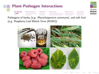 Plant-Pathogen Interactions
Introduction Why Genomics? 2003-Now Implications Where Next? Conclusions
Pathogens of barley (e.g. Rhynchosporium commune), and soft fruit
(e.g. Raspberry Leaf Blotch Virus (RLBV))
 