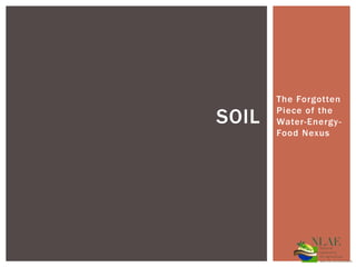 The Forgotten
Piece of the
Water-Energy-
Food Nexus
SOIL
 
