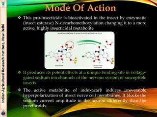 Mode Of Action
 This pro-insecticide is bioactivated in the insect by enzymatic
(insect esterase) N-decarbomethoxylation changing it to a more
active, highly insecticidal metabolite
 It produces its potent effects at a unique binding site in voltage-
gated sodium ion channels of the nervous system of susceptible
insects
 The active metabolite of indoxacarb induces irreversible
hyperpolarization of insect nerve cell membranes. It blocks the
sodium current amplitude in the neuron differently than the
pyrethroids
IndianAgriculturalResearchInstitute,NewDelhi
 