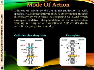 Mode Of Action
 Chlorfenapyr works by disrupting the production of ATP,
specifically, Oxidative removal of the N-ethoxymethyl group of
chlorfenapyr by MFO forms the compound CL 303268 which
uncouples oxidative phosphorylation at the mitochondria,
resulting in disruption of production of ATP, cellular death,
and ultimately organism mortality
IndianAgriculturalResearchInstitute,NewDelhi
Oxidative phosphorylation Uncouplers
 