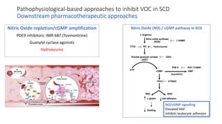 Scd Inhibitor Sickle cell disease: Newer treatments. Will India be Sickle free by ...