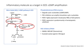 Scd Inhibitor Sickle cell disease: Newer treatments. Will India be Sickle free by ...