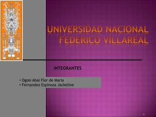 UNIVERSIDAD NACIONAL FEDERICO VILLAREAL  INTEGRANTES ,[object Object]