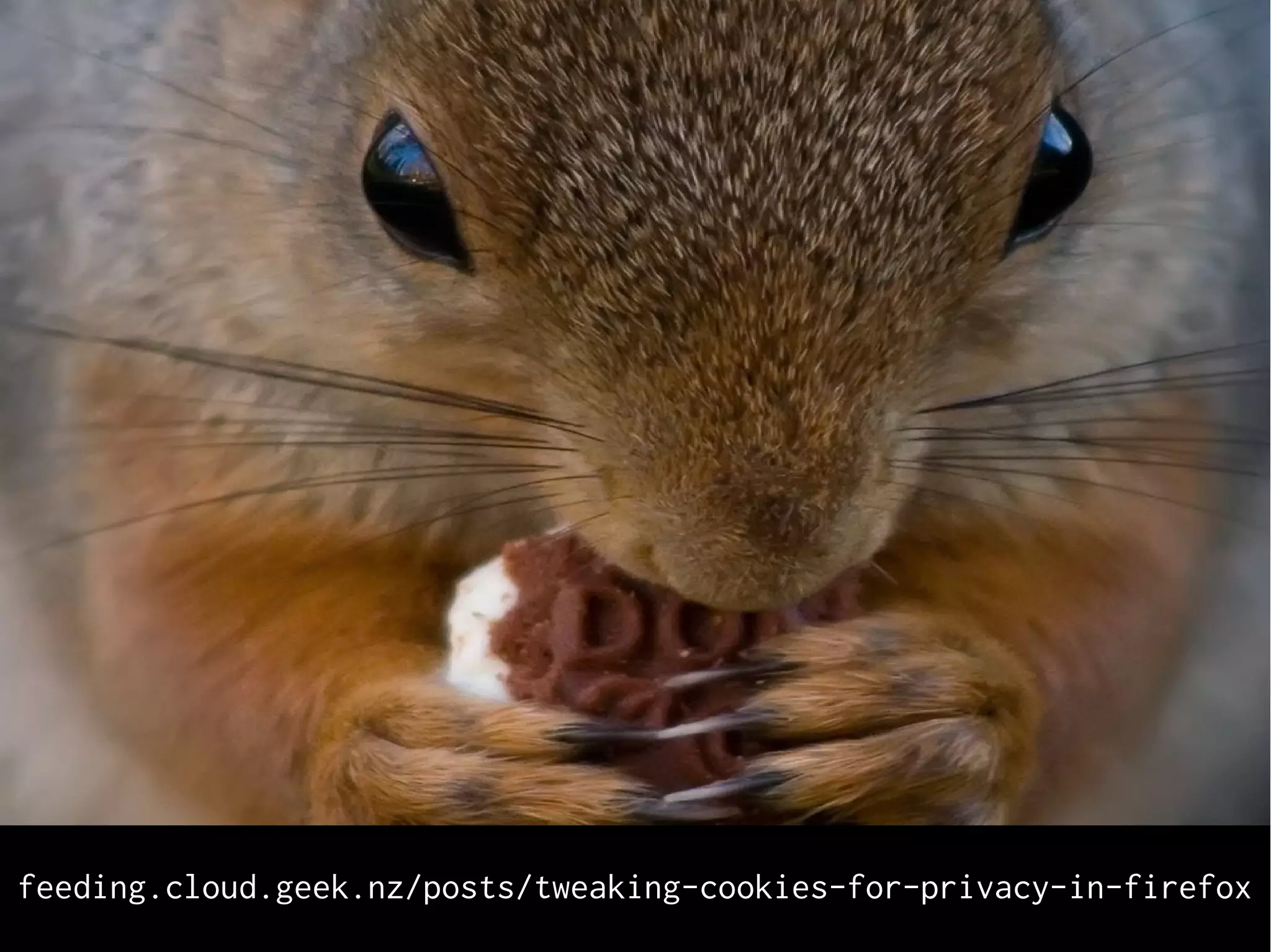feeding.cloud.geek.nz/posts/tweaking-cookies-for-privacy-in-firefox
 