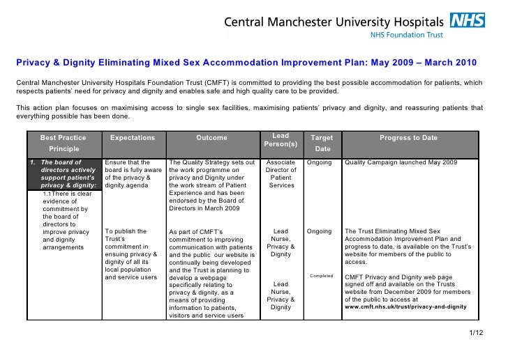 Action Plan Format/teenage Pregnancy Action Plan Format/teenage Pregnancy