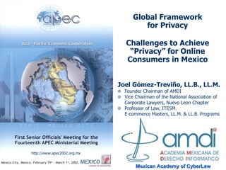 Global Framework for Privacy Challenges to Achieve “Privacy” for Online Consumers in Mexico ,[object Object],[object Object],[object Object],[object Object],Asia-Pacific Economic Cooperation Privacy Forum Electronic Commerce Steering Group Senior Officials Meeting I Mexico City February 22, 2002   http://www.apec2002.org.mx 