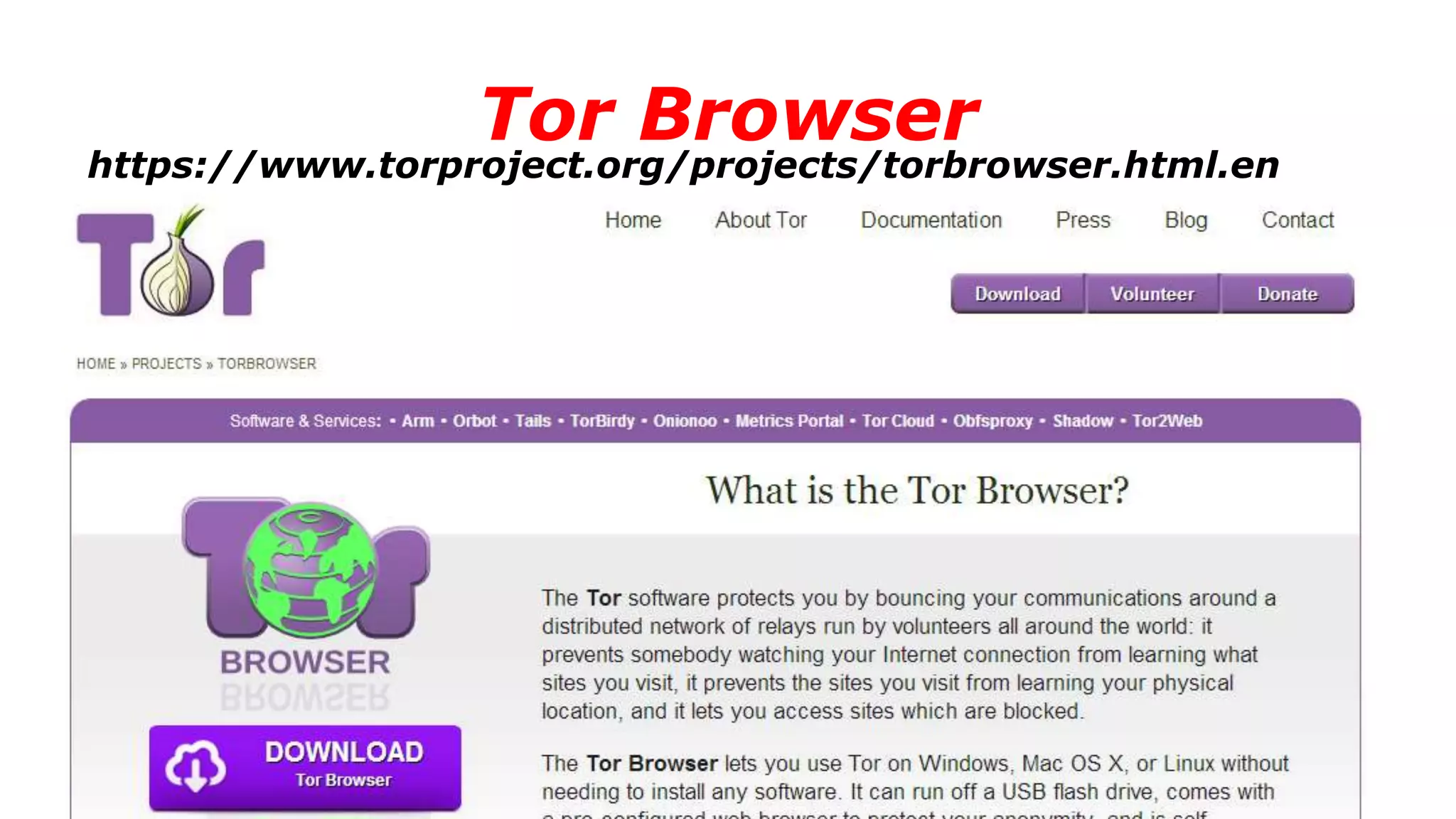 Tor Browser
https://www.torproject.org/projects/torbrowser.html.en
 