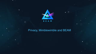 Privacy, Mimblewimble and BEAM
 
