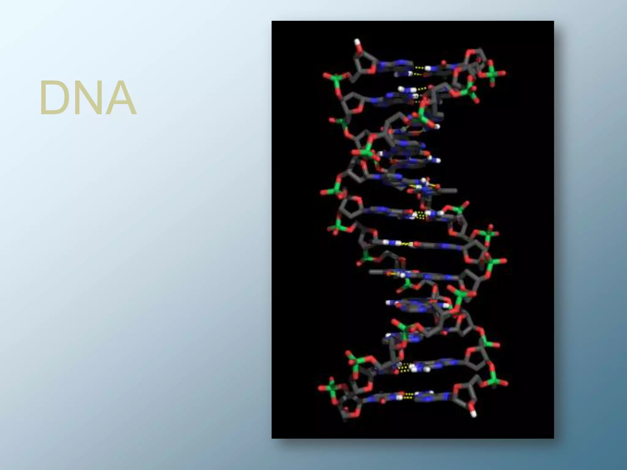 DNA