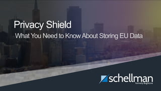 Privacy Shield – What You Need To Know About Storing EU Data | 1
Privacy Shield
What You Need to KnowAbout Storing EU Data
 