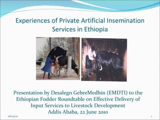 Experiences of Private Artificial Insemination Services in Ethiopia 06/23/10 Presentation by Desalegn GebreMedhin (EMDTI) to the Ethiopian Fodder Roundtable on Effective Delivery of Input Services to Livestock Development Addis Ababa, 22 June 2010 