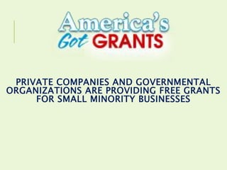 Private Companies And Governmental Organizations Are Providing 