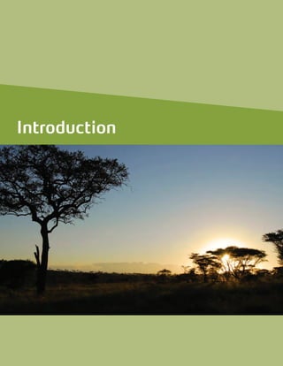 Executive Summary
Introduction
 