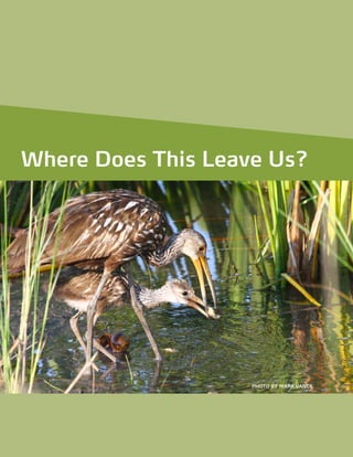 Where Does This Leave Us?
Where Does This Leave Us?
PHOTO BY MARK VANCE
 