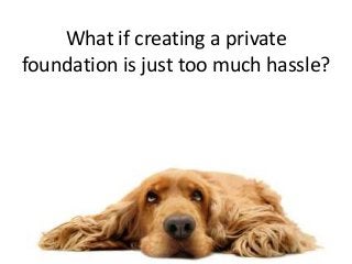 What if creating a private
foundation is just too much hassle?
 
