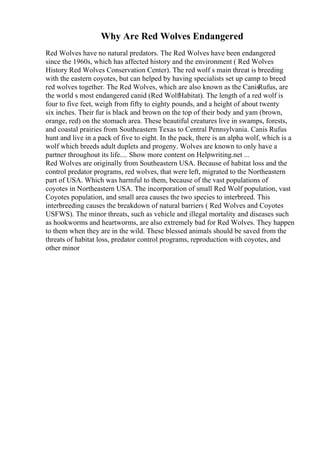 Why Are Red Wolves Endangered
Red Wolves have no natural predators. The Red Wolves have been endangered
since the 1960s, which has affected history and the environment ( Red Wolves
History Red Wolves Conservation Center). The red wolf s main threat is breeding
with the eastern coyotes, but can helped by having specialists set up camp to breed
red wolves together. The Red Wolves, which are also known as the CanisRufus, are
the world s most endangered canid (Red WolfHabitat). The length of a red wolf is
four to five feet, weigh from fifty to eighty pounds, and a height of about twenty
six inches. Their fur is black and brown on the top of their body and yam (brown,
orange, red) on the stomach area. These beautiful creatures live in swamps, forests,
and coastal prairies from Southeastern Texas to Central Pennsylvania. Canis Rufus
hunt and live in a pack of five to eight. In the pack, there is an alpha wolf, which is a
wolf which breeds adult duplets and progeny. Wolves are known to only have a
partner throughout its life.... Show more content on Helpwriting.net ...
Red Wolves are originally from Southeastern USA. Because of habitat loss and the
control predator programs, red wolves, that were left, migrated to the Northeastern
part of USA. Which was harmful to them, because of the vast populations of
coyotes in Northeastern USA. The incorporation of small Red Wolf population, vast
Coyotes population, and small area causes the two species to interbreed. This
interbreeding causes the breakdown of natural barriers ( Red Wolves and Coyotes
USFWS). The minor threats, such as vehicle and illegal mortality and diseases such
as hookworms and heartworms, are also extremely bad for Red Wolves. They happen
to them when they are in the wild. These blessed animals should be saved from the
threats of habitat loss, predator control programs, reproduction with coyotes, and
other minor
 