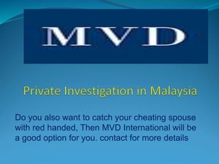 Do you also want to catch your cheating spouse
with red handed, Then MVD International will be
a good option for you. contact for more details
 