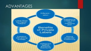 ADVANTAGES
 