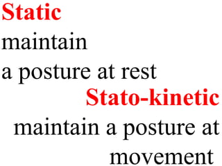 Private physiology of the CNS.pptlkn ipj90[hknnk | PPT