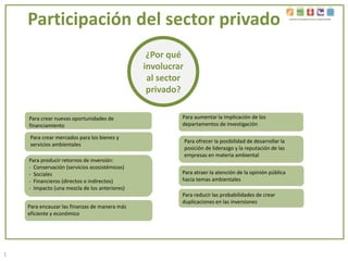 1
Participación del sector
privado
Incentives for Ecosystem Services in Agriculture (IES)
Lucy Garrett
Octubre 2015Incentives for Ecosystem Services (IES)
 