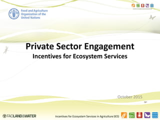 1
Private Sector Engagement
Incentives for Ecosystem Services
Incentives for Ecosystem Services in Agriculture (IES)
Lucy Garrett
October 2015Incentives for Ecosystem Services (IES)
 