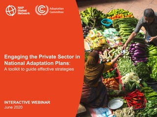 Engaging the Private Sector in
National Adaptation Plans:
A toolkit to guide effective strategies
INTERACTIVE WEBINAR
June...