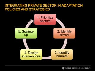 INTEGRATING PRIVATE SECTOR IN ADAPTATION 
POLICIES AND STRATEGIES 
1. Prioritize 
sectors 
2. Identify 
drivers 
3. Identify 
barriers 
5. Scaling-up 
4. Design 
interventions 
 