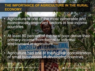 THE IMPORTANCE OF AGRICULTURE IN THE RURAL 
ECONOMY 
• Agriculture is one of the most vulnerable and 
economically-important sectors in low-income 
countries 
• At least 80 percent of the rural poor derive their 
primary income from formal or informal 
employment in agriculture 
• Agriculture has one of the highest concentration 
of small businesses in developing countries 
Photo credit: International Maize and Wheat Improvement Center 
 