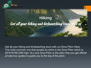 Get all your hiking and birdwatching tours with us (Gros Piton Hike)
The most common one that people do climb is the Gros Piton which is
2618 ft/798.25M high. St Lucia Gros Piton is the piton that you get official
private tour guides to guide you to the top of the piton.
 