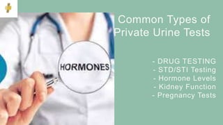 Private Urine Test Services in the UK.pptx