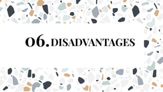 06.DISADVANTAGES
 