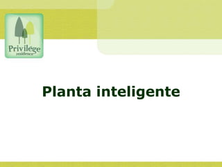Planta inteligente
 