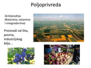 Poljoprivreda
Zemljoradnja
(Ratarstvo, voćarstvo
i vinogradarstvo)
Proizvodi od žita,
povrća,
industrijskog
bilja...
 