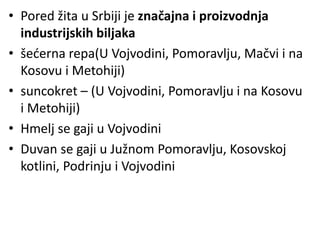 • Pored žita u Srbiji je značajna i proizvodnja
industrijskih biljaka
• šećerna repa(U Vojvodini, Pomoravlju, Mačvi i na
Kosovu i Metohiji)
• suncokret – (U Vojvodini, Pomoravlju i na Kosovu
i Metohiji)
• Hmelj se gaji u Vojvodini
• Duvan se gaji u Južnom Pomoravlju, Kosovskoj
kotlini, Podrinju i Vojvodini
 